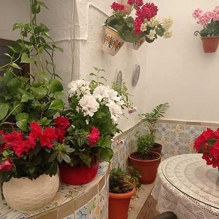 Casa Tipica De Pueblo Andaluz Villa Villanueva de San Juan Eksteriør billede
