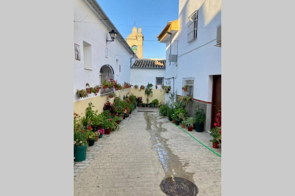 Casa Tipica De Pueblo Andaluz Villa Villanueva de San Juan Eksteriør billede