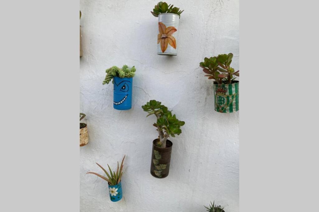 Casa Tipica De Pueblo Andaluz Villa Villanueva de San Juan Eksteriør billede
