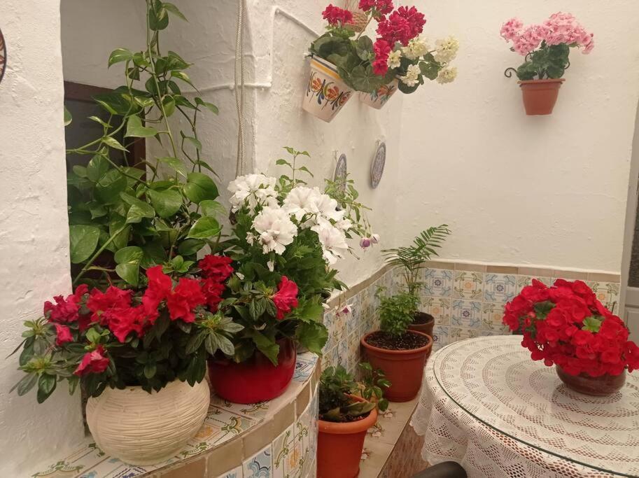 Casa Tipica De Pueblo Andaluz Villa Villanueva de San Juan Eksteriør billede
